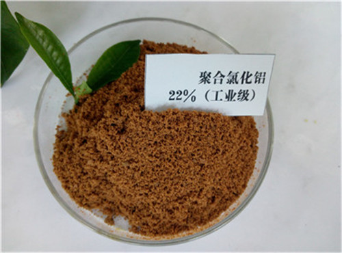 PھۺȻX6